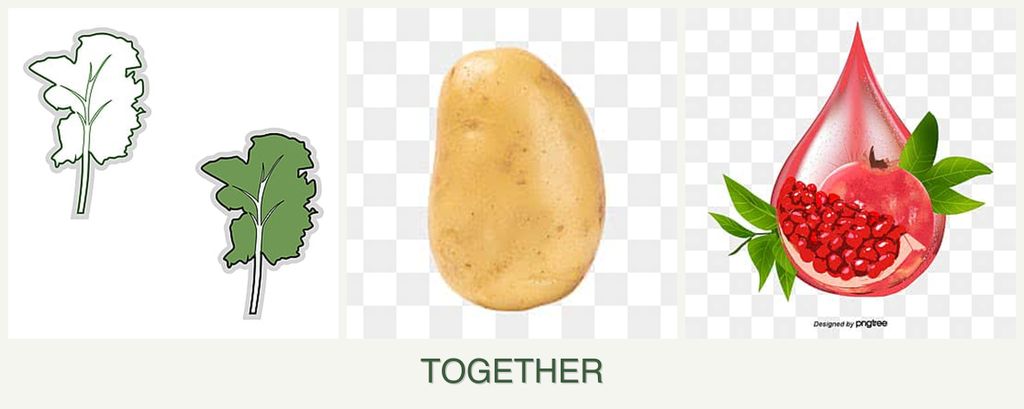 Can you plant kale, potatoes and pomegranates together?
