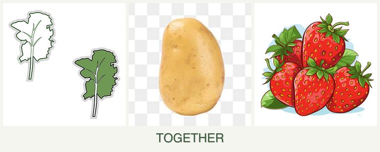 Can you plant kale, potatoes and strawberries together?