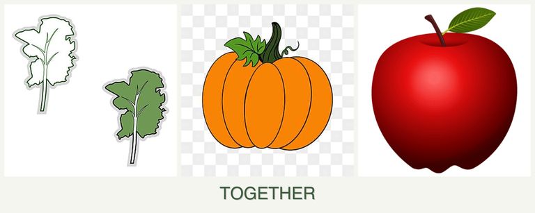 Can you plant kale, pumpkin and apples together?