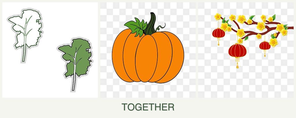 Can you plant kale, pumpkin and apricots together?