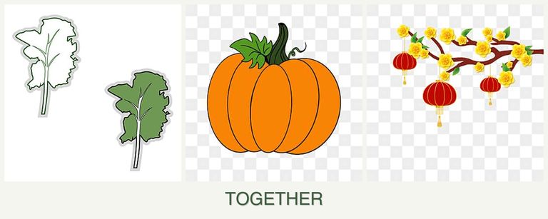 Can you plant kale, pumpkin and apricots together?