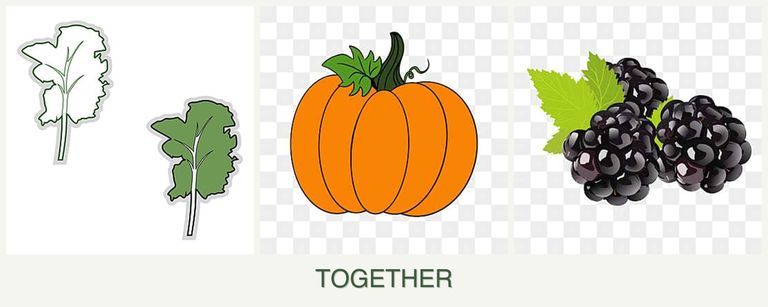 Can you plant kale, pumpkin and blackberries together?