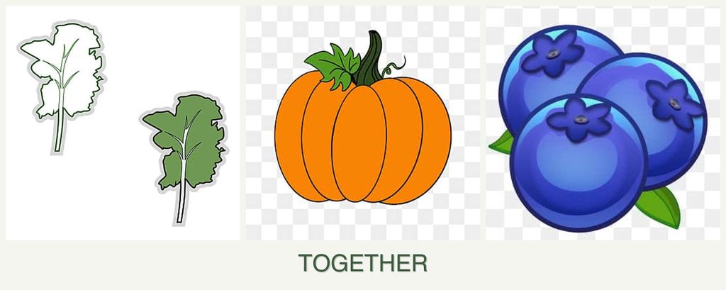 Can you plant kale, pumpkin and blueberries together?