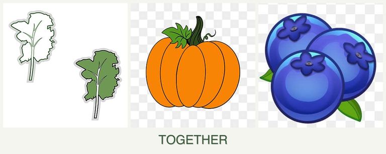 Can you plant kale, pumpkin and blueberries together?