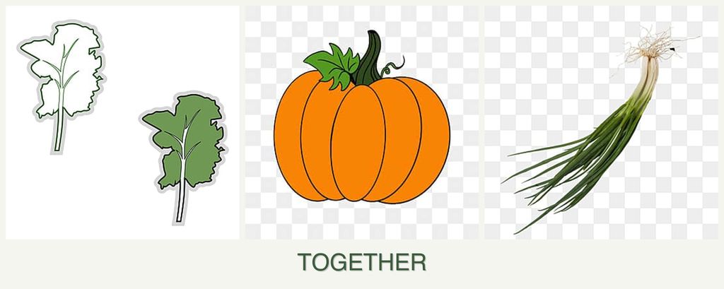 Can you plant kale, pumpkin and chives together?