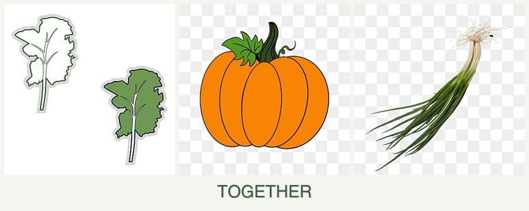 Can you plant kale, pumpkin and chives together?