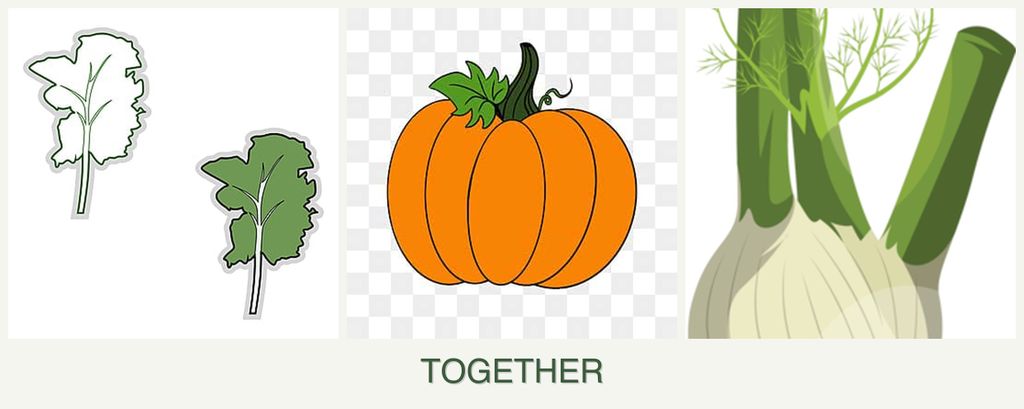 Can you plant kale, pumpkin and fennel together?