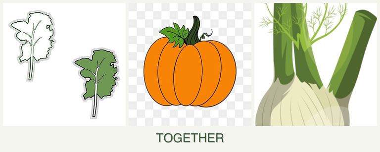 Can you plant kale, pumpkin and fennel together?
