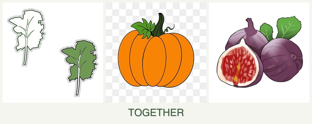 Can you plant kale, pumpkin and figs together?