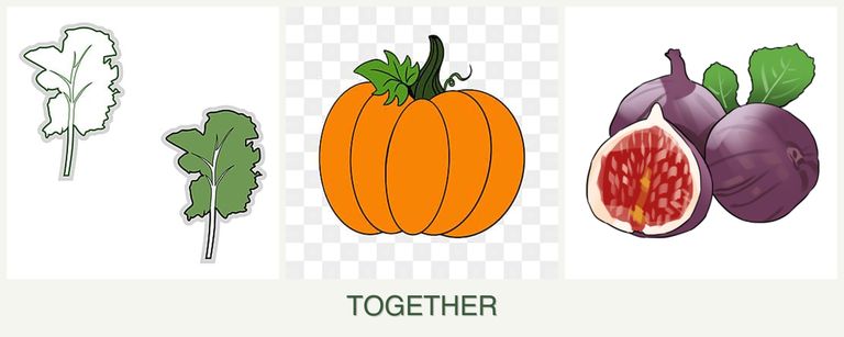 Can you plant kale, pumpkin and figs together?