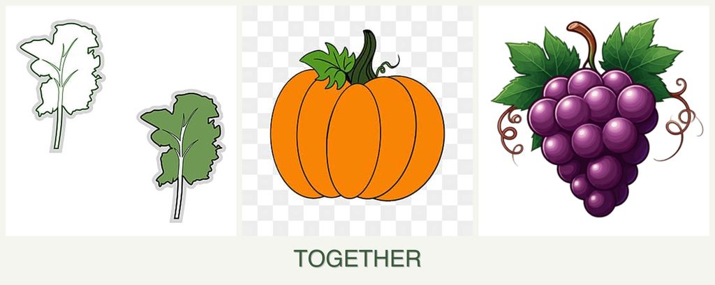 Can you plant kale, pumpkin and grapes together?
