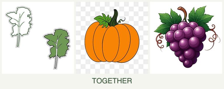 Can you plant kale, pumpkin and grapes together?