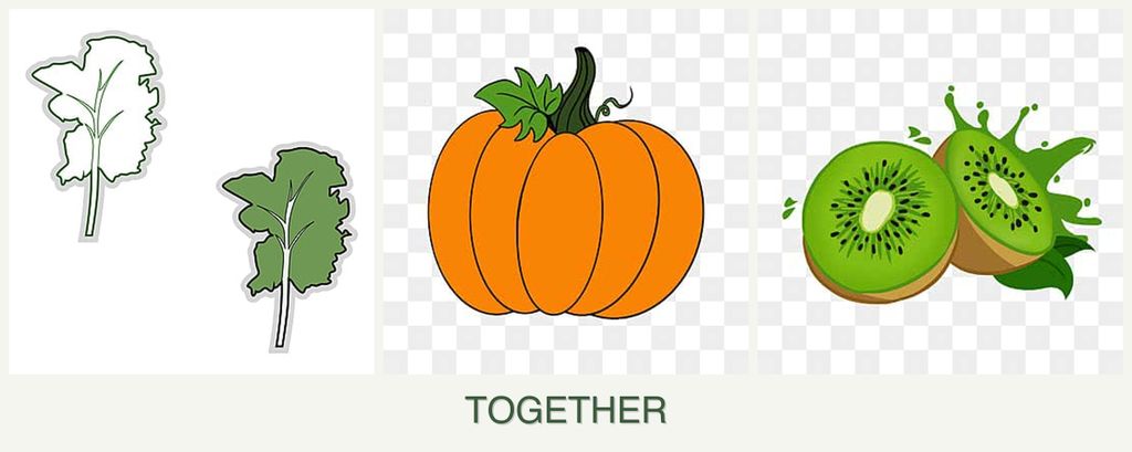 Can you plant kale, pumpkin and kiwi together?