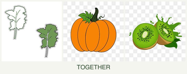 Can you plant kale, pumpkin and kiwi together?