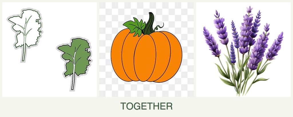 Can you plant kale, pumpkin and lavender together?