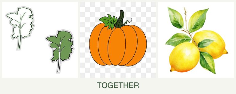 Can you plant kale, pumpkin and lemons together?