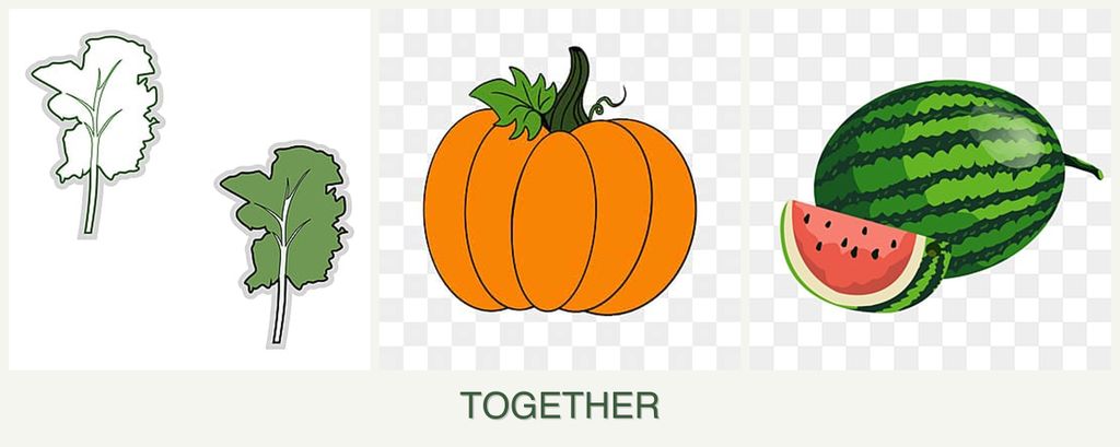 Can you plant kale, pumpkin and melons together?