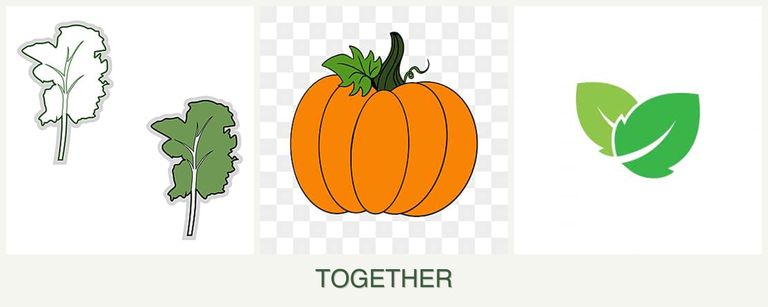 Can you plant kale, pumpkin and mint together?