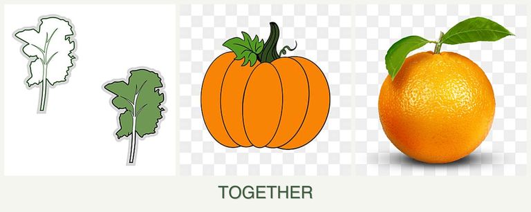Can you plant kale, pumpkin and oranges together?