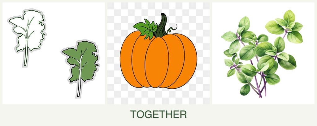 Can you plant kale, pumpkin and oregano together?