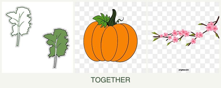 Can you plant kale, pumpkin and peaches together?