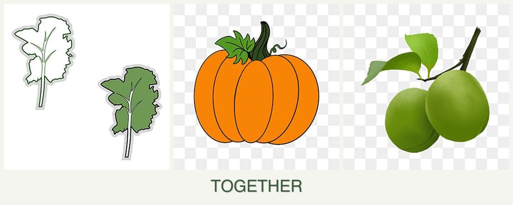 Can you plant kale, pumpkin and plums together?