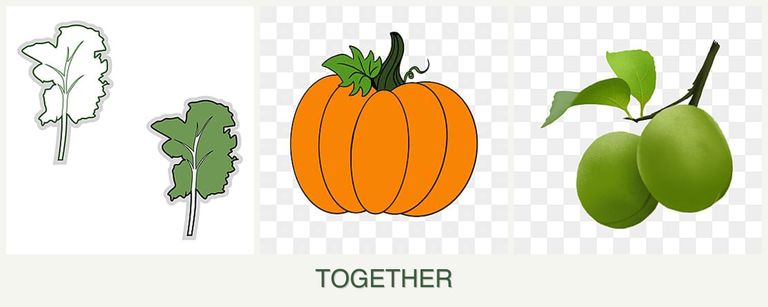 Can you plant kale, pumpkin and plums together?
