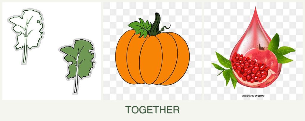 Can you plant kale, pumpkin and pomegranates together?