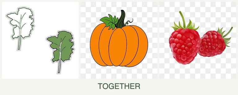Can you plant kale, pumpkin and raspberries together?