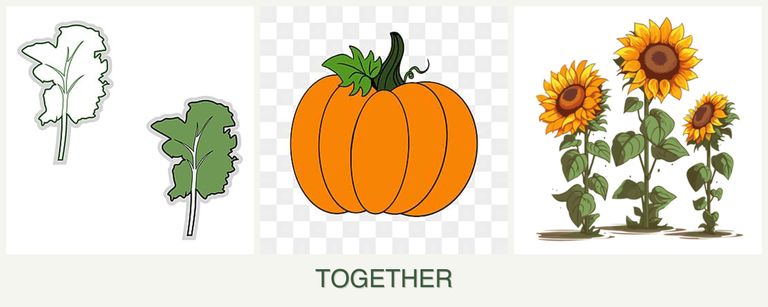 Can you plant kale, pumpkin and sunflowers together?