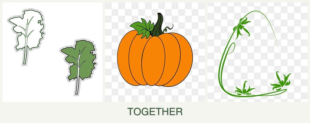 Can you plant kale, pumpkin and tarragon together?