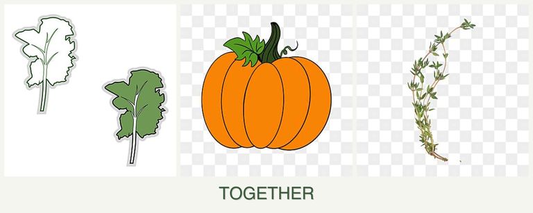 Can you plant kale, pumpkin and thyme together?