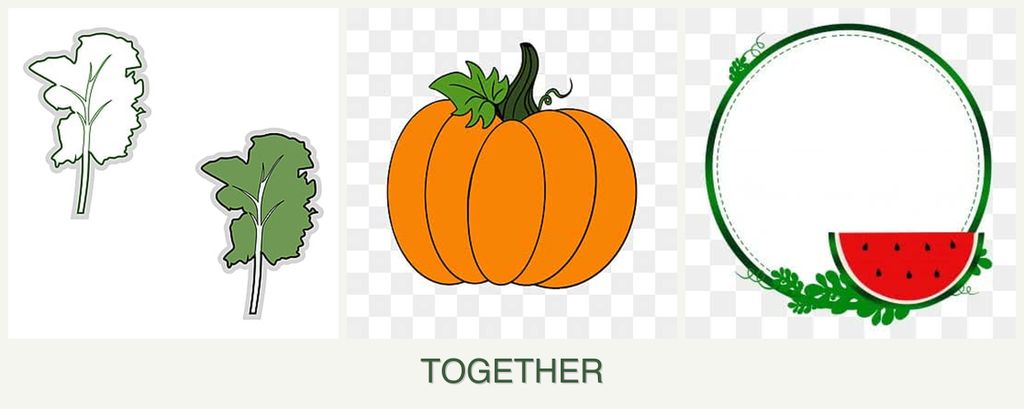 Can you plant kale, pumpkin and watermelons together?