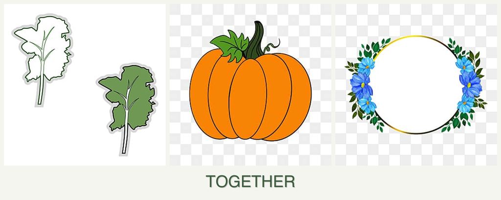 Can you plant kale, pumpkin and zinnias together?