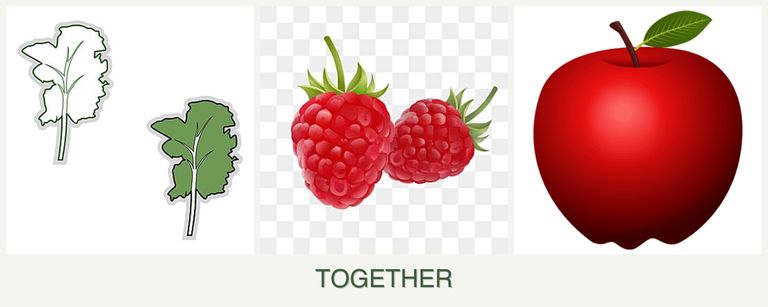 Can you plant kale, raspberries and apples together?