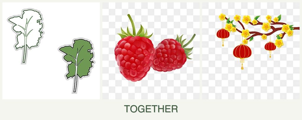 Can you plant kale, raspberries and apricots together?