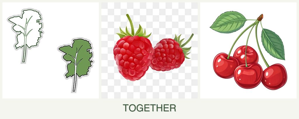 Can you plant kale, raspberries and cherries together?