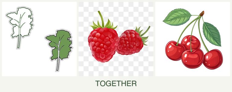 Can you plant kale, raspberries and cherries together?