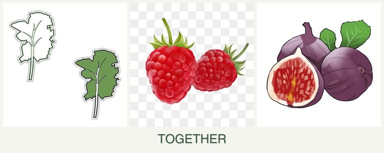 Can you plant kale, raspberries and figs together?