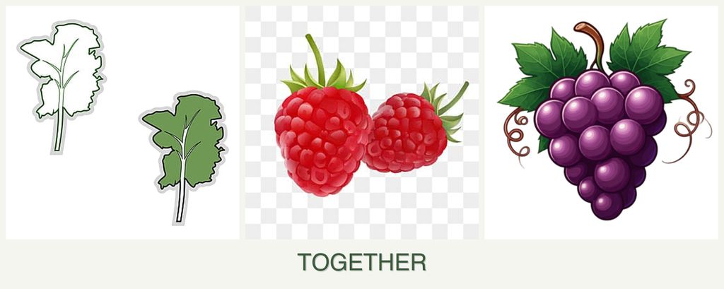 Can you plant kale, raspberries and grapes together?