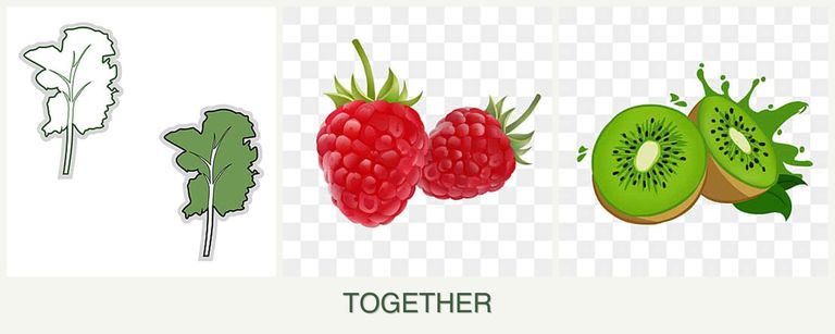 Can you plant kale, raspberries and kiwi together?