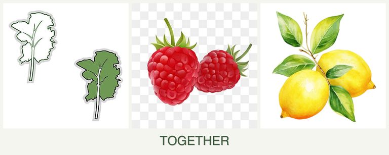 Can you plant kale, raspberries and lemons together?