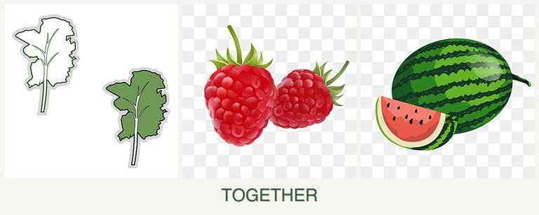 Can you plant kale, raspberries and melons together?