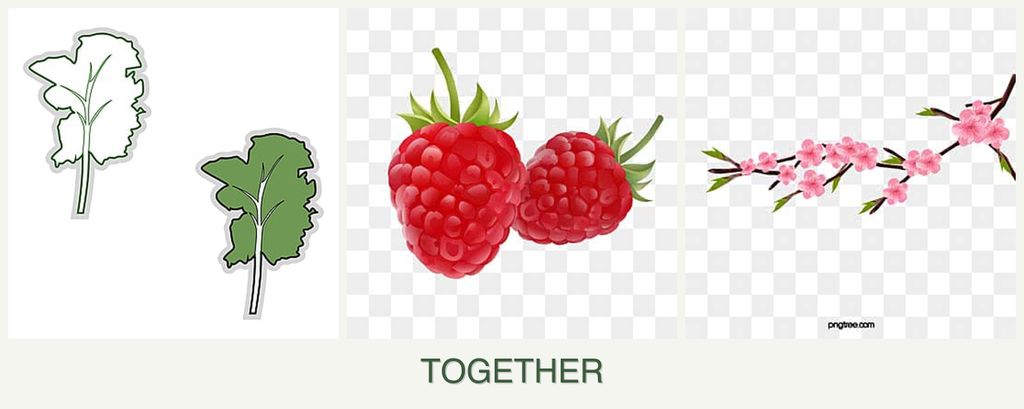 Can you plant kale, raspberries and peaches together?