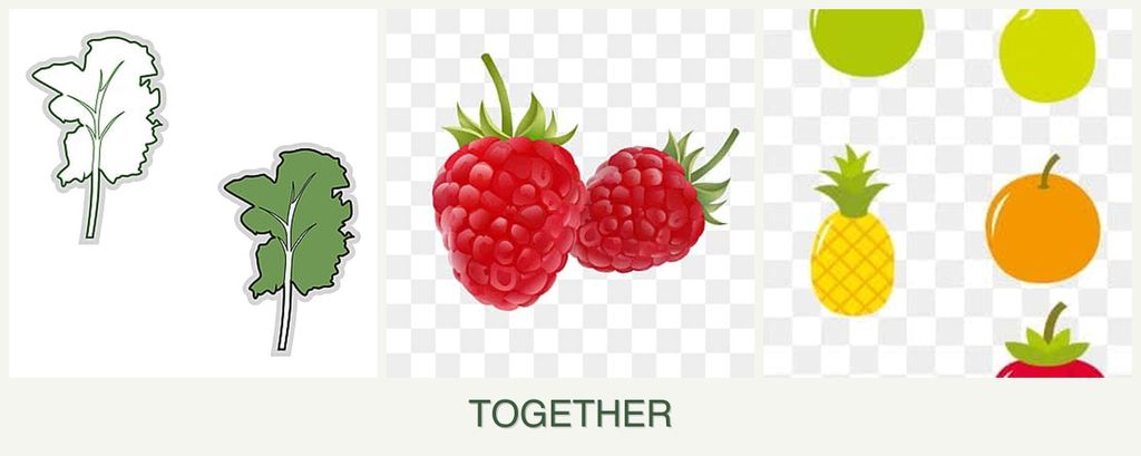 Can you plant kale, raspberries and pears together?