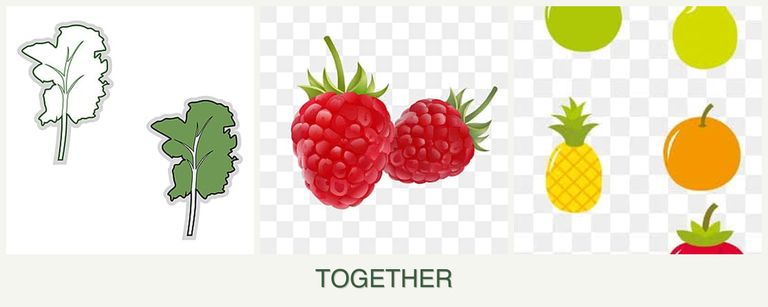 Can you plant kale, raspberries and pears together?