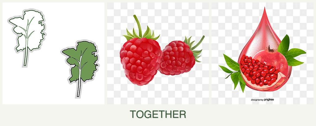 Can you plant kale, raspberries and pomegranates together?