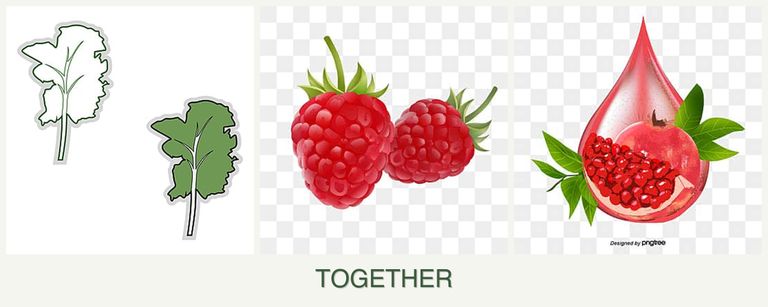 Can you plant kale, raspberries and pomegranates together?