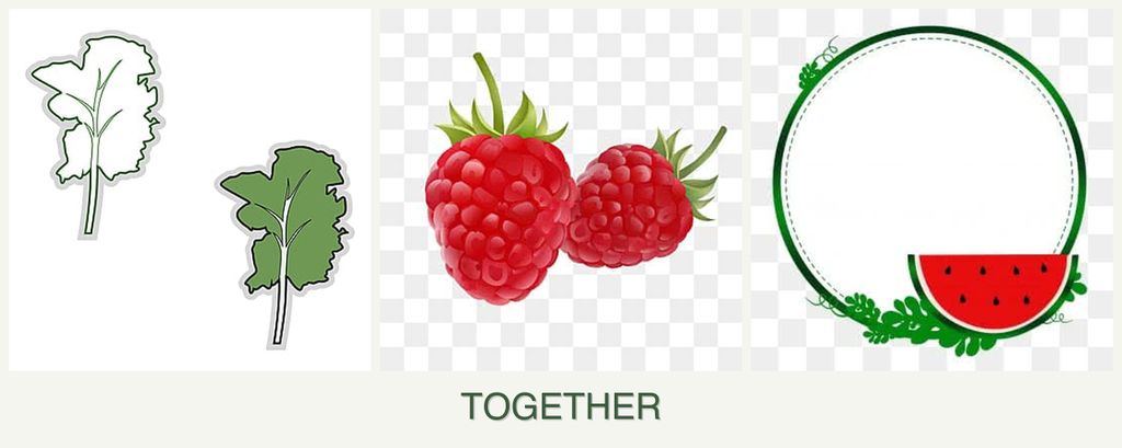 Can you plant kale, raspberries and watermelons together?