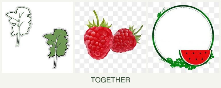 Can you plant kale, raspberries and watermelons together?